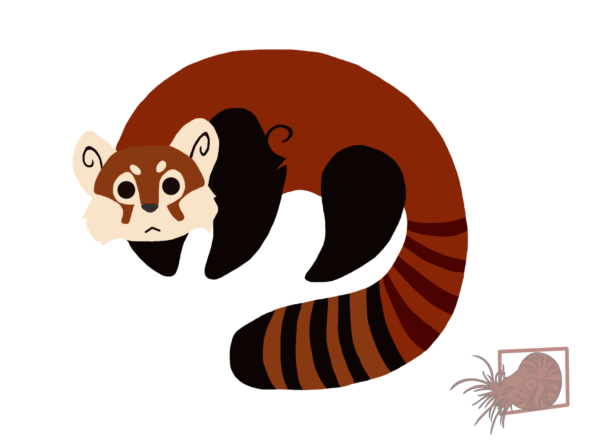 Red Panda