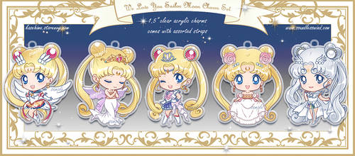 Sailor Moon Charm Set