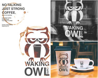 Waking Owl