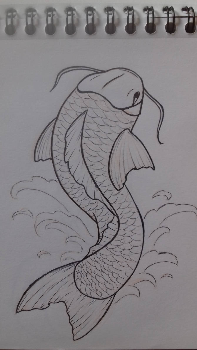 Training Carpe Koi By Sylvestrial On Deviantart Training Carpe Koi By Sylvestrial On Deviantart