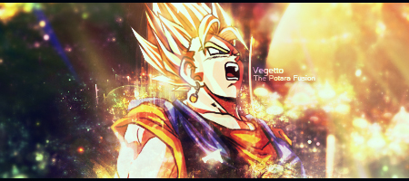 Vegetto Signature