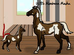 WBS Montana Mocha by draggiiee
