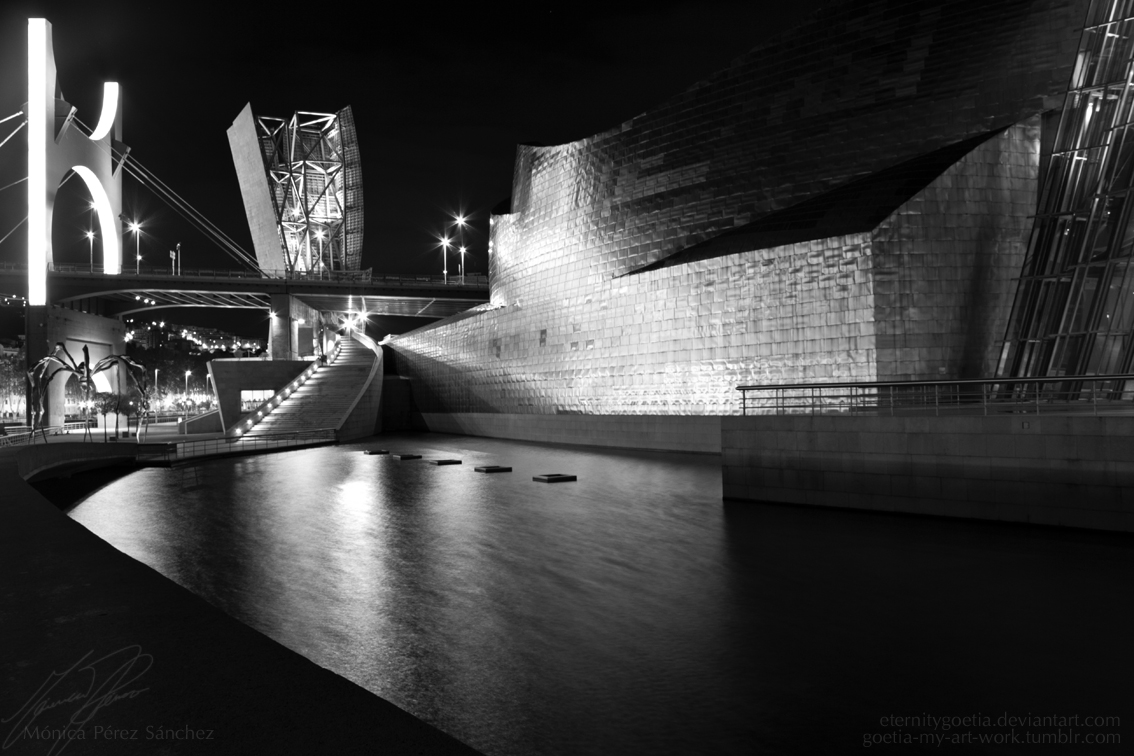 Bilbao at night BW