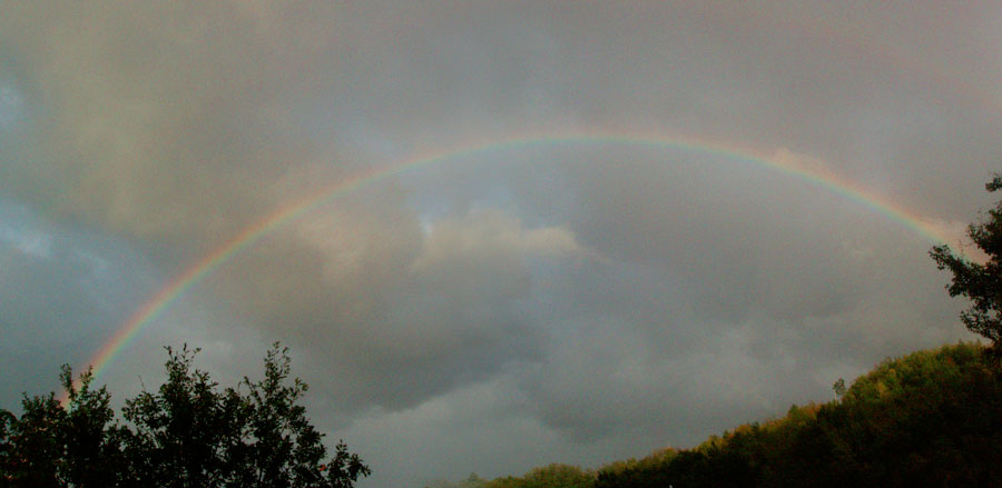 Rainbow II