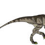 Ornitholestes