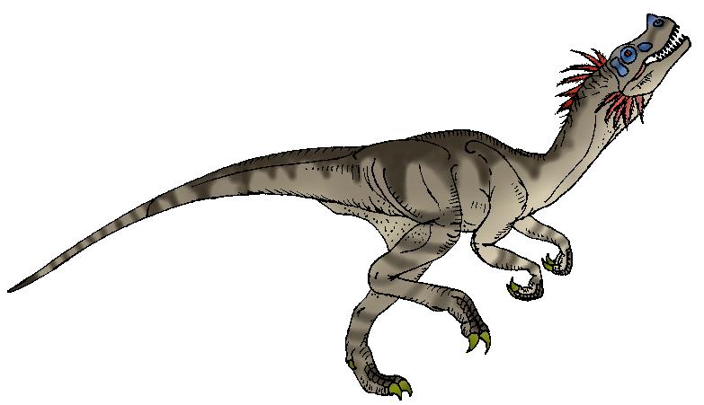 Ornitholestes