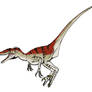 Utahraptor