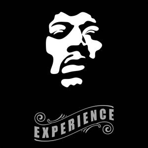 Jimi Hendrix Experience