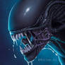 Xenomorph - Alien Vs Predator