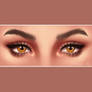 Eye Study | No Reference