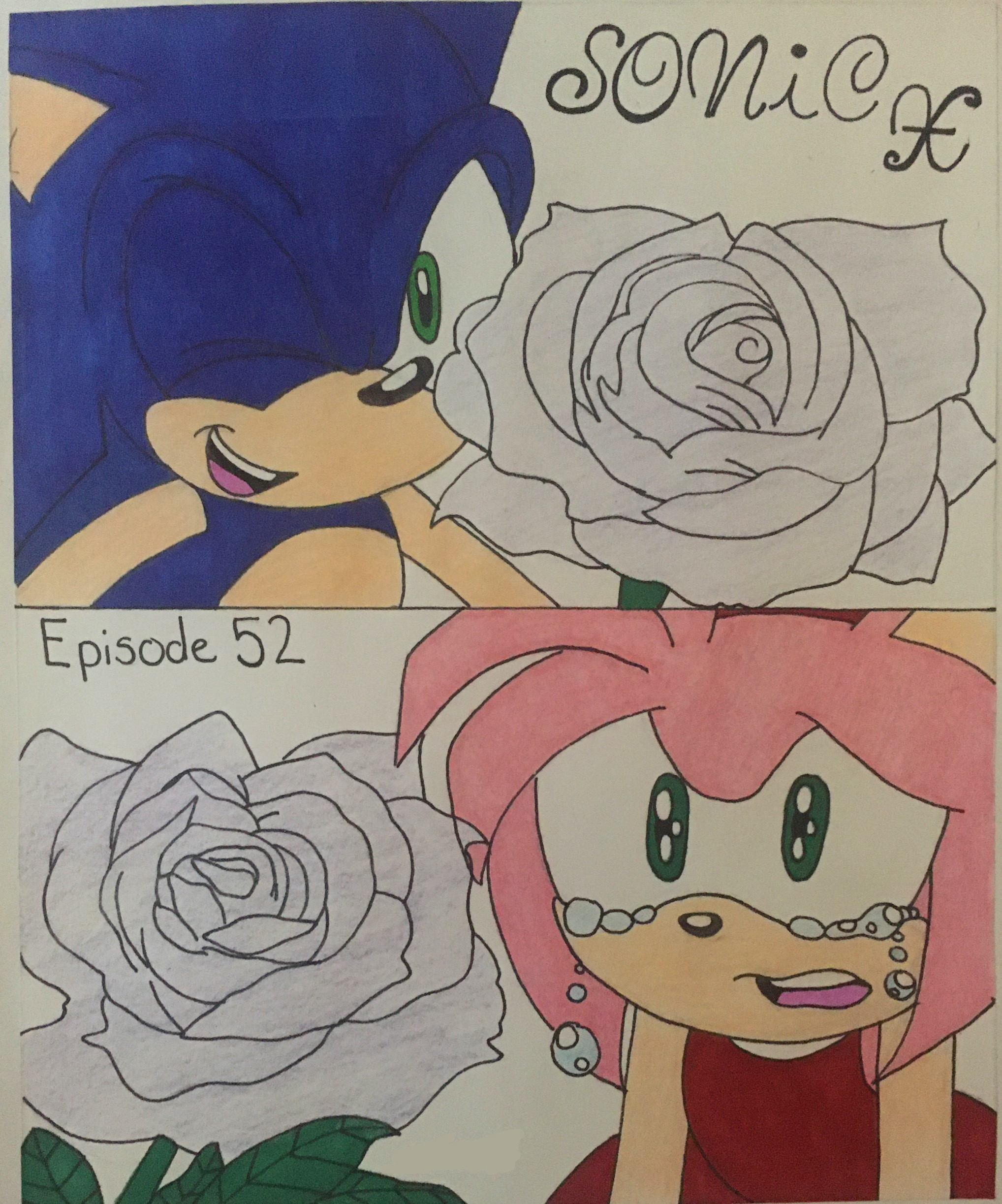 52 Sonic X ideas  sonic, sonic the hedgehog, sonic art