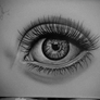 eye spy - graphite