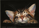Pastel Kitten by Drehli