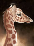 giraffe baby by Drehli