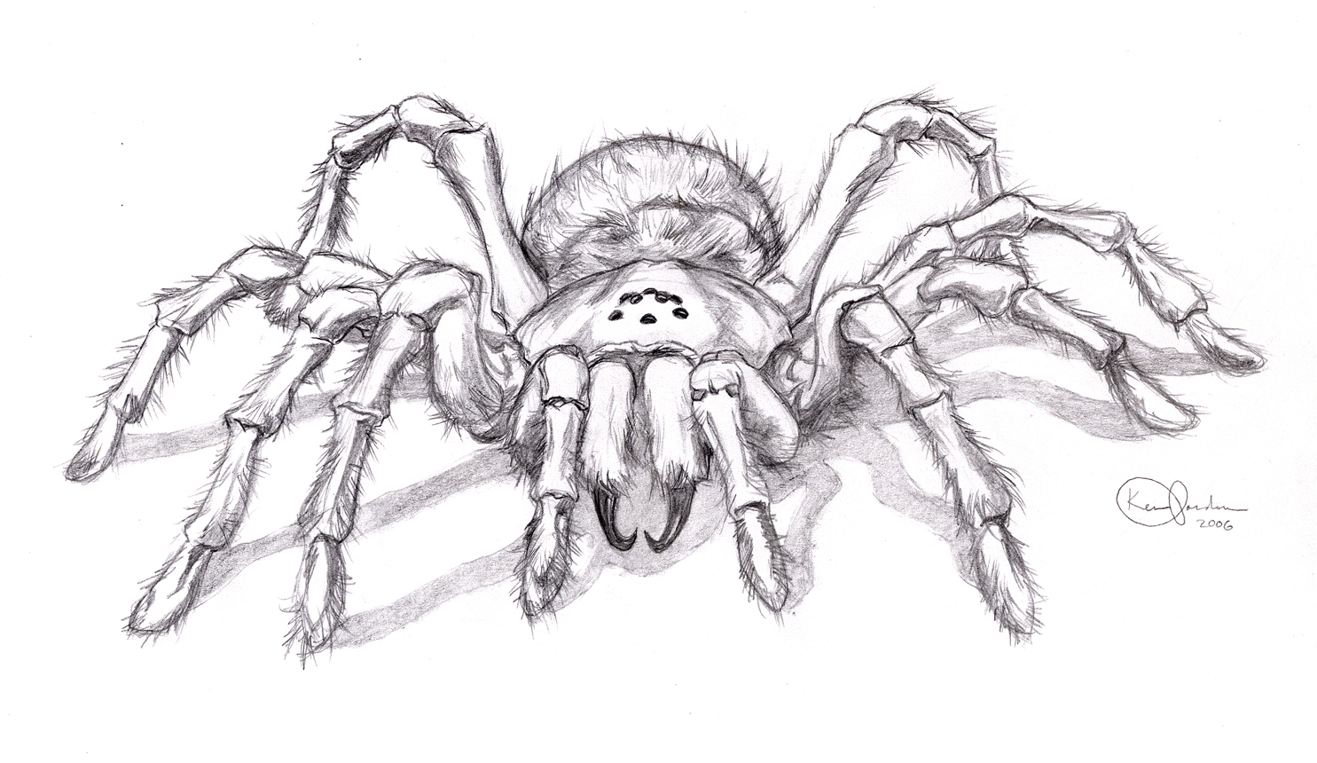 Tattoo Design - Spider