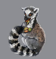 Lemur