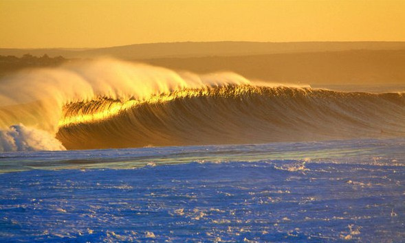 Beauty of the ocean