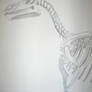 Edmontosaurus regalis