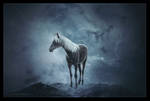 come back and haunt me by Horseryder