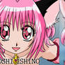 TOKYO MEW MEW, Ishino Vs Koichi's ART STYLES