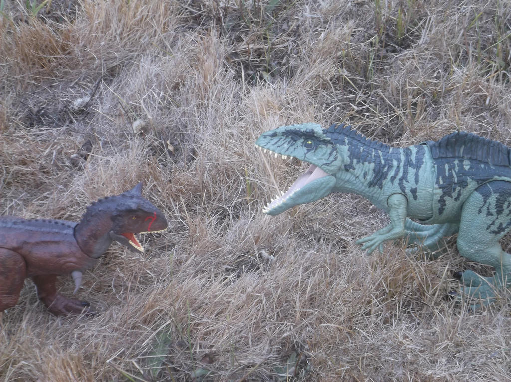 Two Alphas by mutantapk on DeviantArt