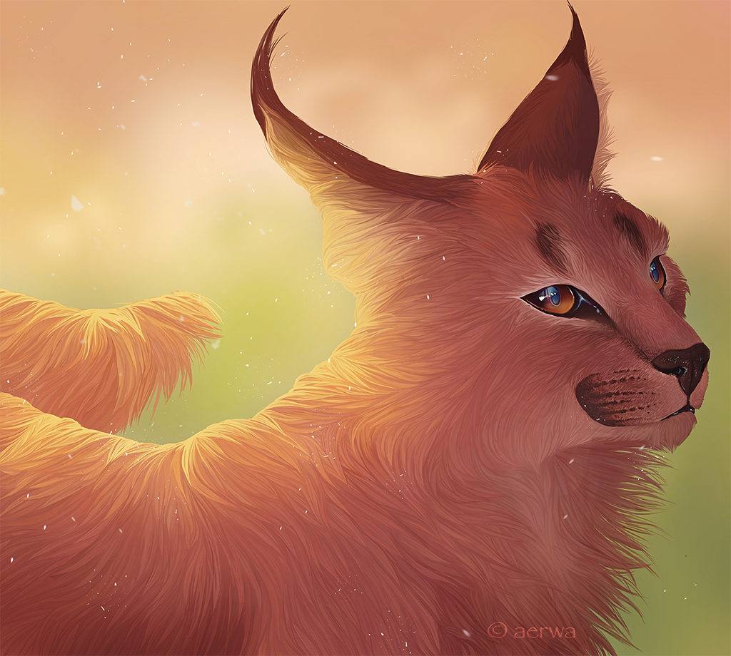 Red Lynx by aerwa on DeviantArt