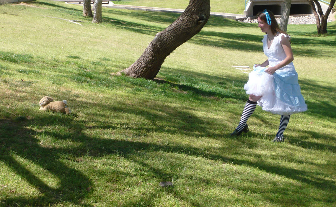 Chasing the Rabbit 2 by kaismi on DeviantArt