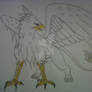 Griffon