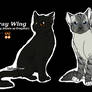 Some Warrior cat designs - Grey Wing and Clear Sky