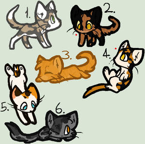 CHEAP Kitten Adoptables - OPEN.