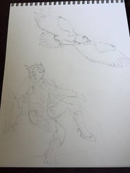 Wip Quinn and Valor