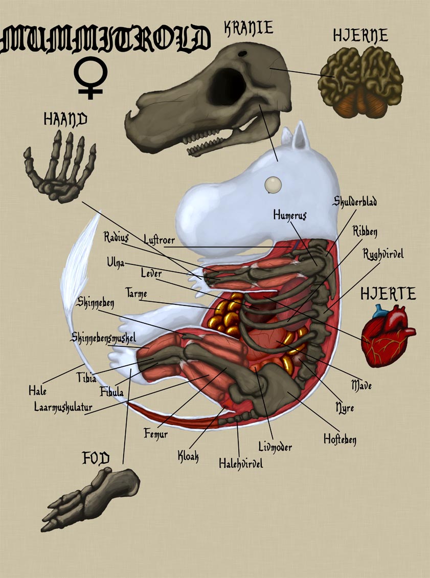 The Insides of a Female Mumin