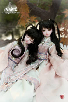 SP version and Human version