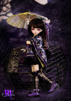 New doll from AS