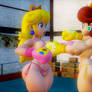 [MMD] Peach vs Daisy Boxing