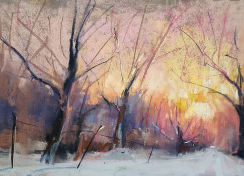 winter path, pastel