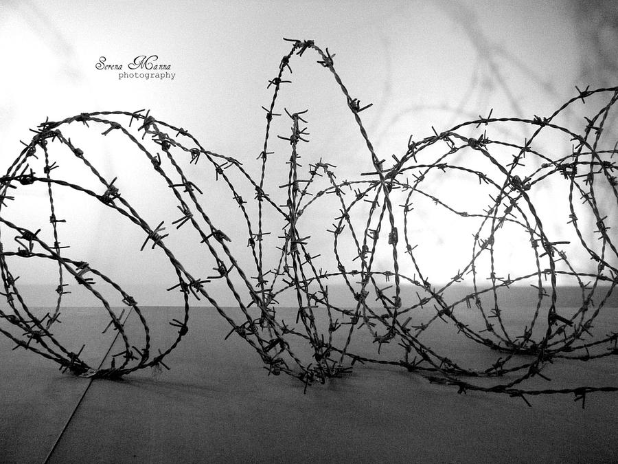 Barbed Wire