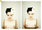 phineastisc by bommi