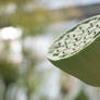 Lotus Seed Pod