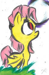 Flutter Bat