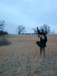 Black Swan Witch of The Field by doctorderanged