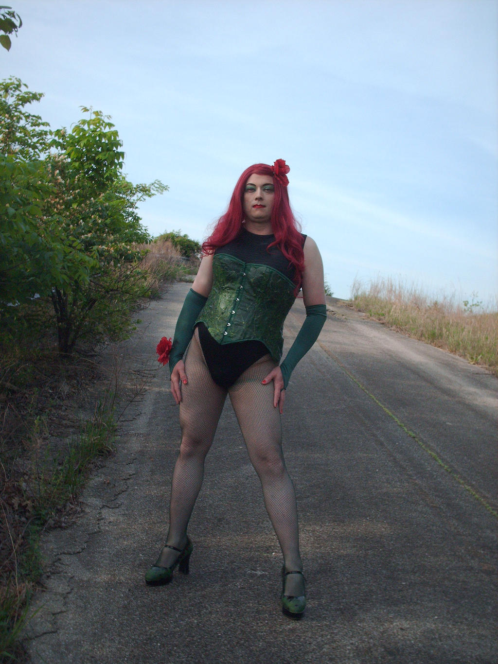 Dr Crossplay Poison Ivy 2