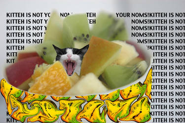 KITTEH IS NOT UR NOMs