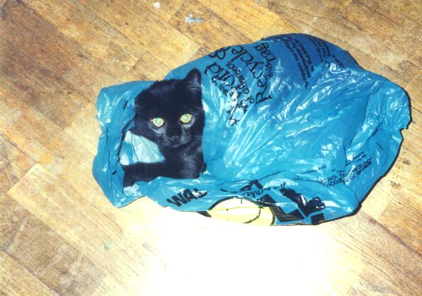 Buabu and the bag