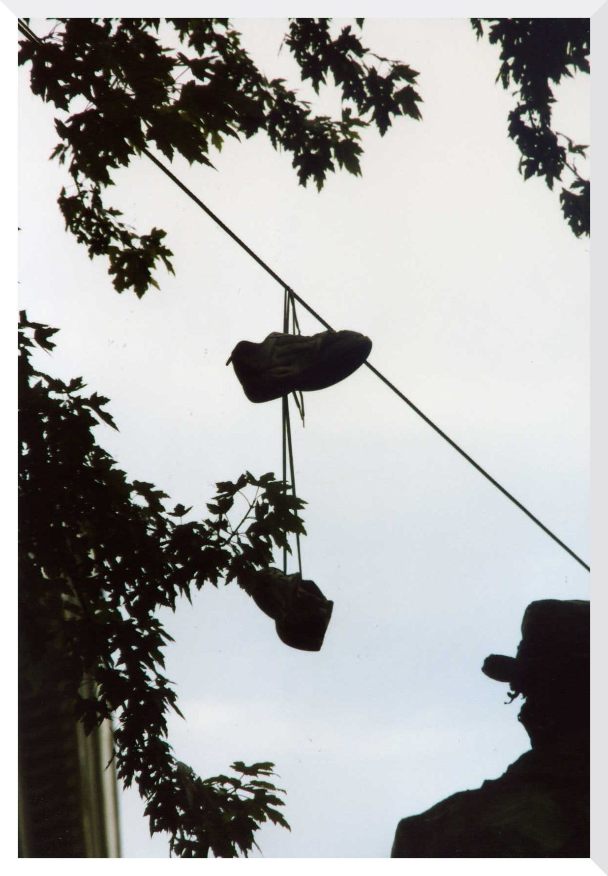 Hanging Shoes