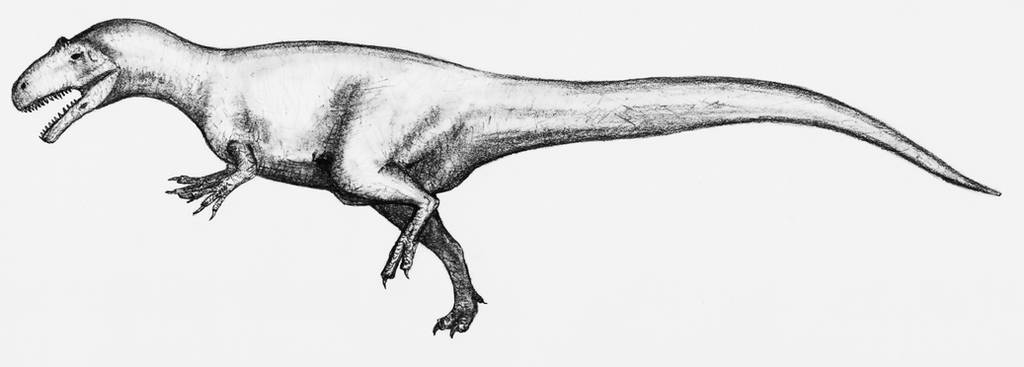 Allosaurus fragilis/Epanterias amplexus by theropod1