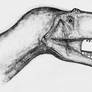 Mapusaurus roseae: fleshed skull!