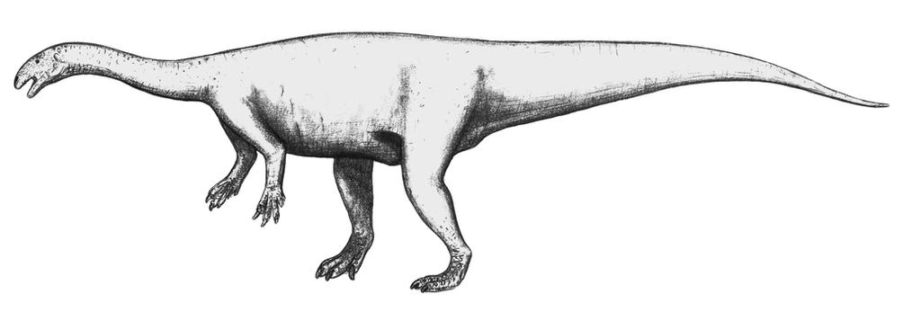 Plateosaurus engelhardti by theropod1