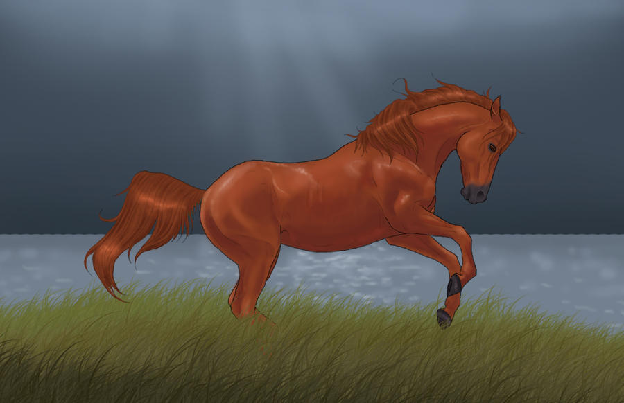 Scorpio Races Corr The Scorpio Races - Corr by AlbinoBlackbird on DeviantArt