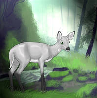 Silver Fawn